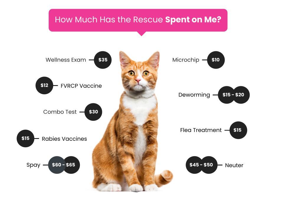 FeeGraphic-Dogs-Cats