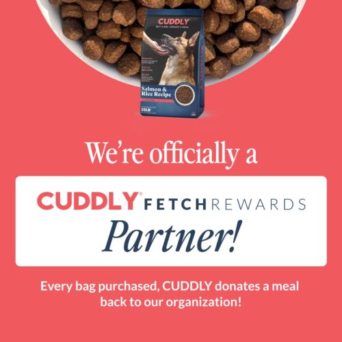 cuddlyprogramimage